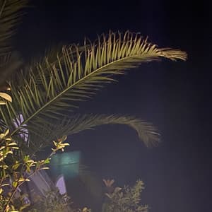 Header background