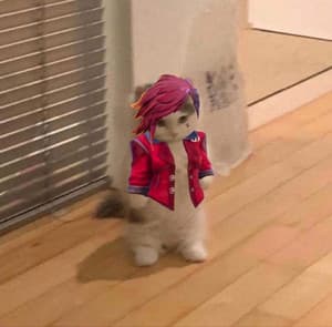 Header background