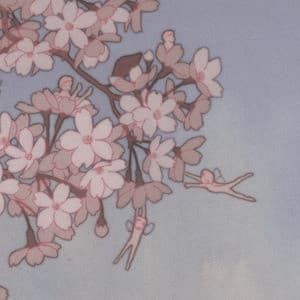 Header background