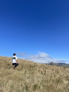 Header background