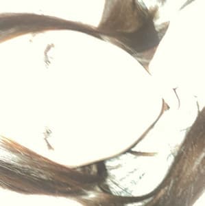 Header background