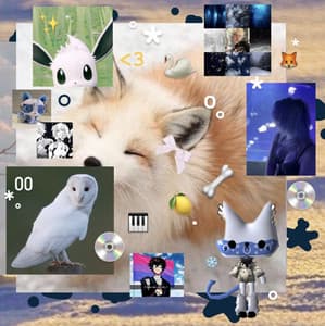 User image