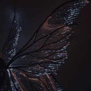 Header background