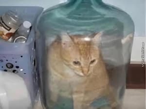 Header background