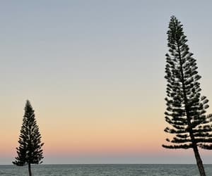 Header background